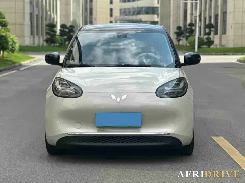 2023 WuLing BinGuo 2