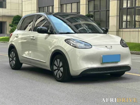2023 WuLing BinGuo 3