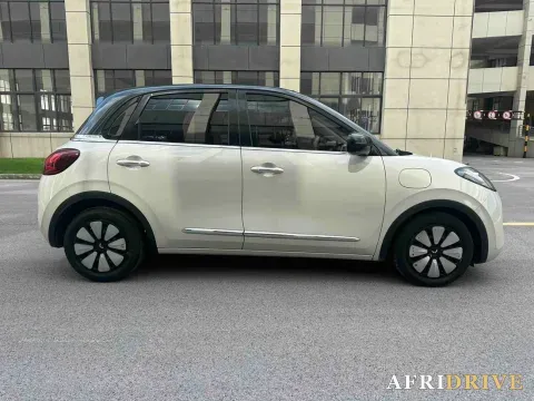 2023 WuLing BinGuo 4