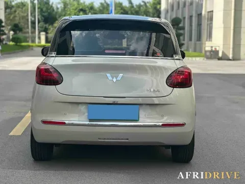 2023 WuLing BinGuo 5