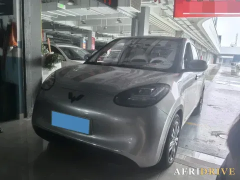 2023 WuLing BinGuo