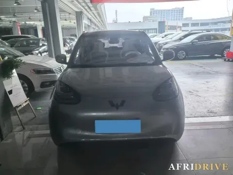 2023 WuLing BinGuo 2