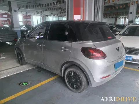 2023 WuLing BinGuo 5