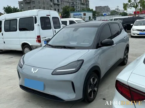 2024 WuLing BinGuoPLUS