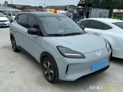 2024 WuLing BinGuoPLUS 2