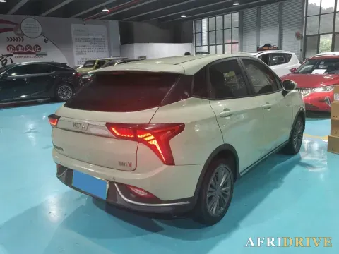 2022 Neta V 5