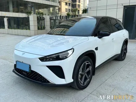 2024 Neta L