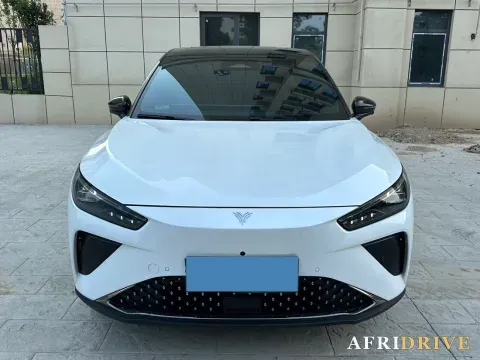 2024 Neta L 2