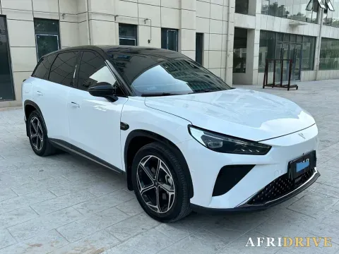 2024 Neta L 3