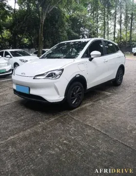 2021 Neta V