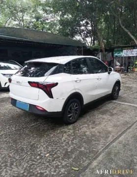 2021 Neta V 3