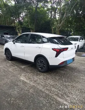 2021 Neta V 4