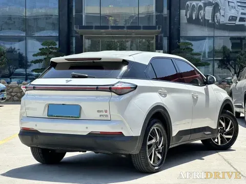 2022 Neta U 4