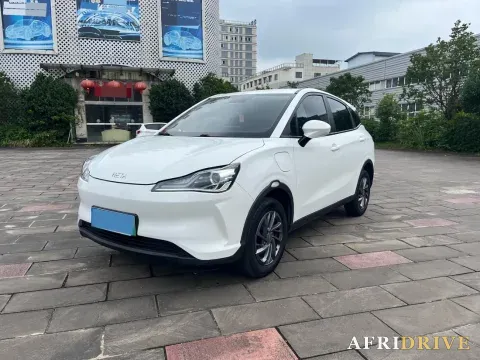 2021 Neta V