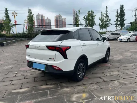 2021 Neta V 7