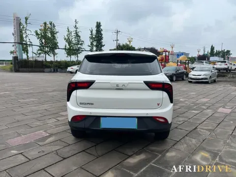 2021 Neta V 8