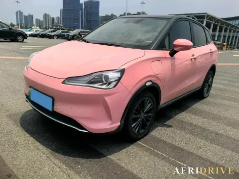 2022 Neta V
