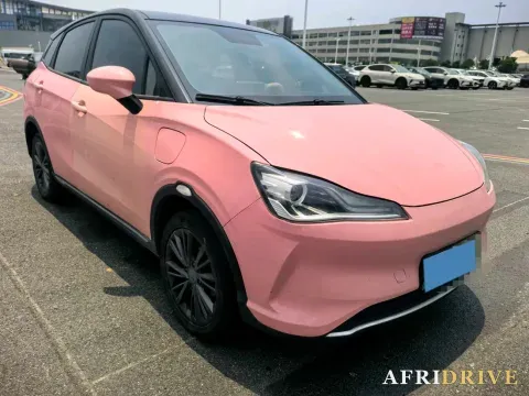 2022 Neta V 3