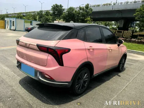 2022 Neta V 4