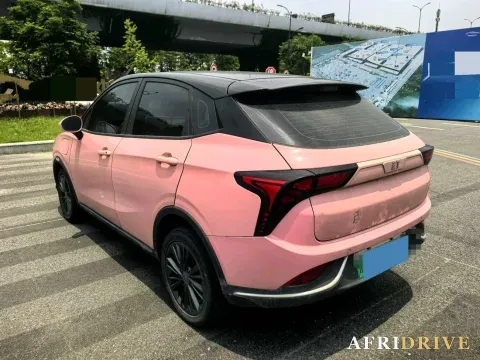 2022 Neta V 6
