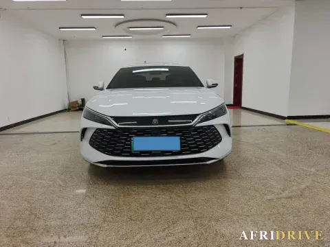 2024 BYD QinL 2