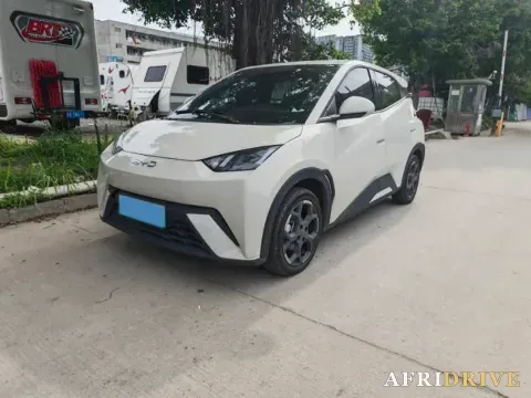 2024 BYD Seagull