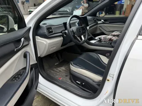 2021 BYD Qin Plus 6