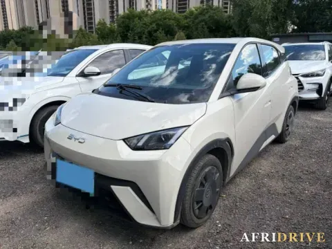 2025 BYD Seagull