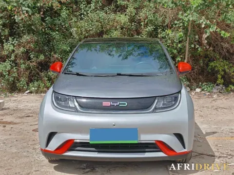 2021 BYD Yuan Pro 2