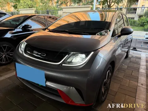 2021 BYD Yuan Pro