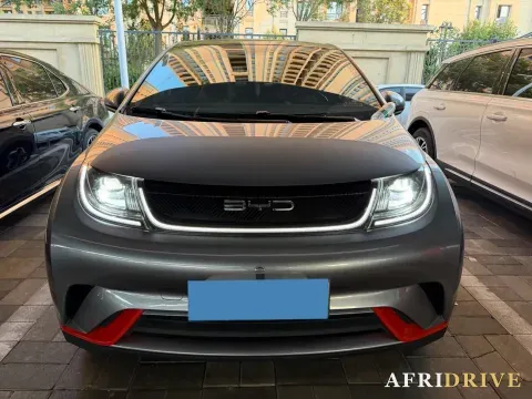 2021 BYD Yuan Pro 2