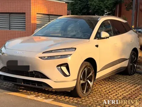 2025 BYD Sea Lion 06