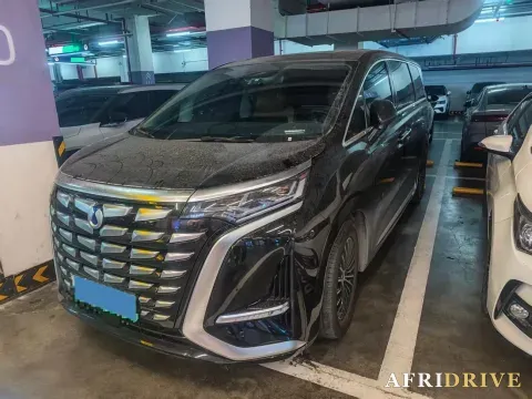 2024 Denza D9