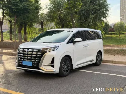 2024 Denza D9