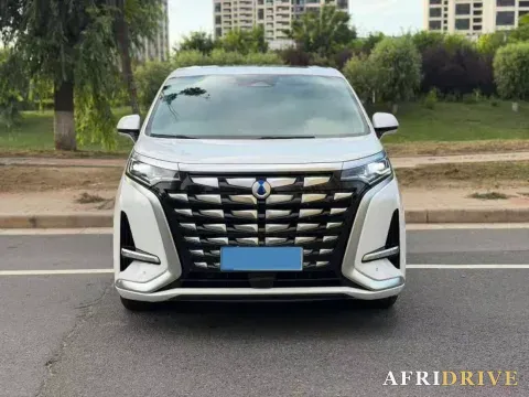 2024 Denza D9 2