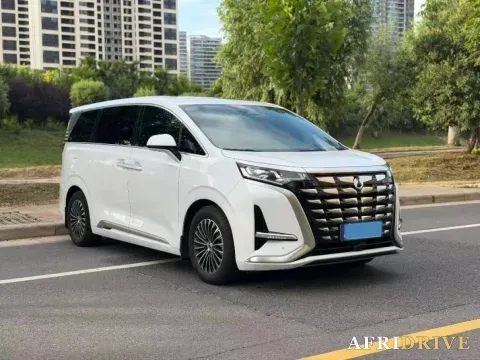 2024 Denza D9 3