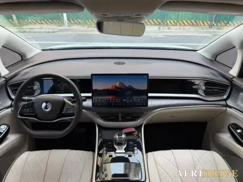 2024 Denza D9 4