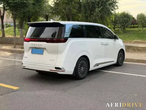 2024 Denza D9 7