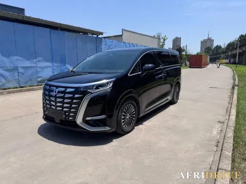 2024 Denza D9