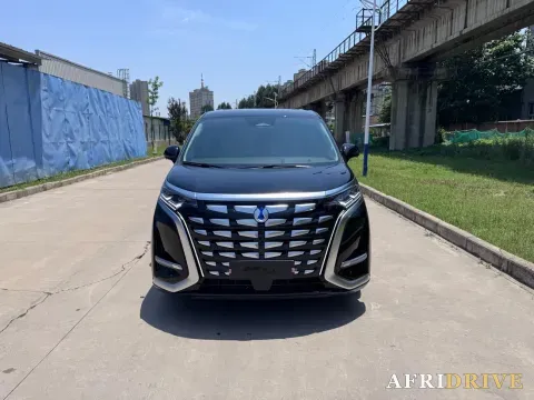 2024 Denza D9 2