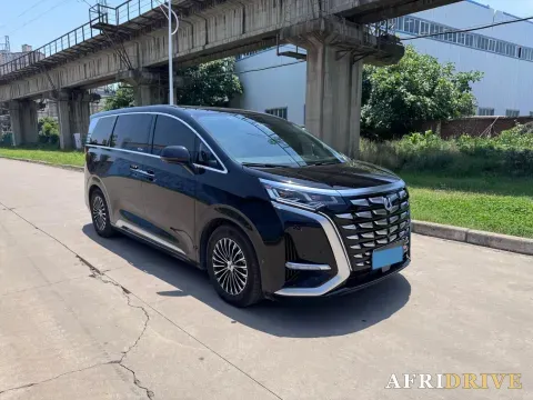 2024 Denza D9 3