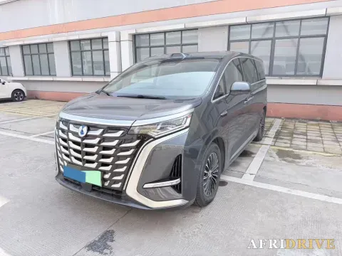 2025 Denza D9