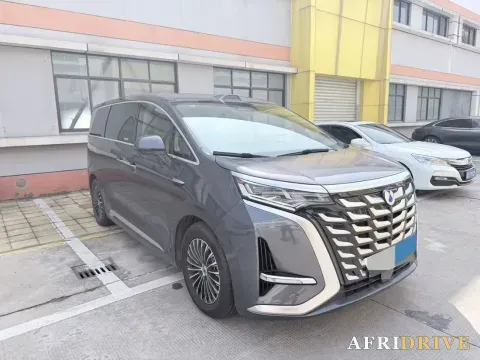 2025 Denza D9 2