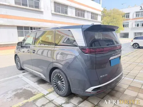 2025 Denza D9 8