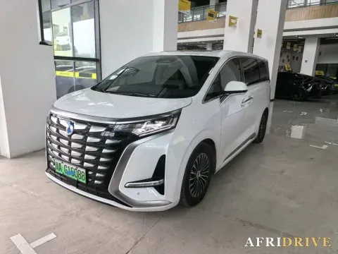 2024 Denza D9