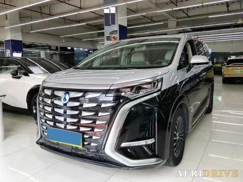 2024 Denza D9
