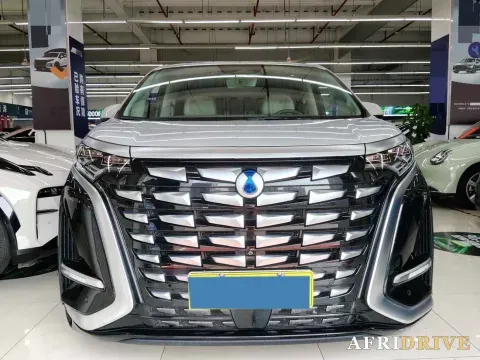 2024 Denza D9 2