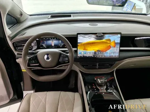 2024 Denza D9 3