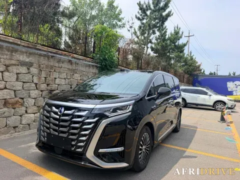 2025 Denza D9
