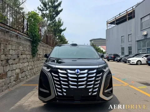 2025 Denza D9 2